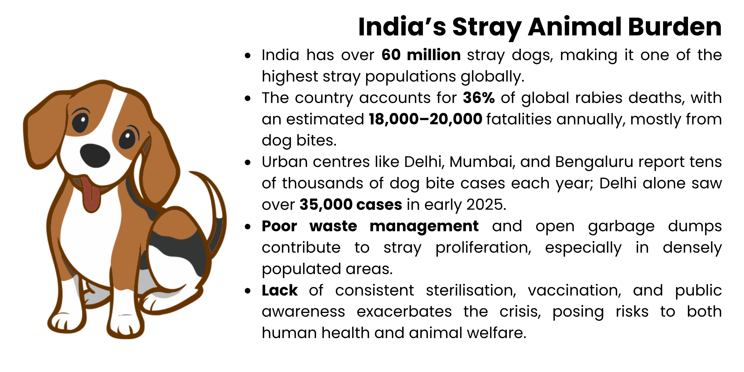 indias-stray