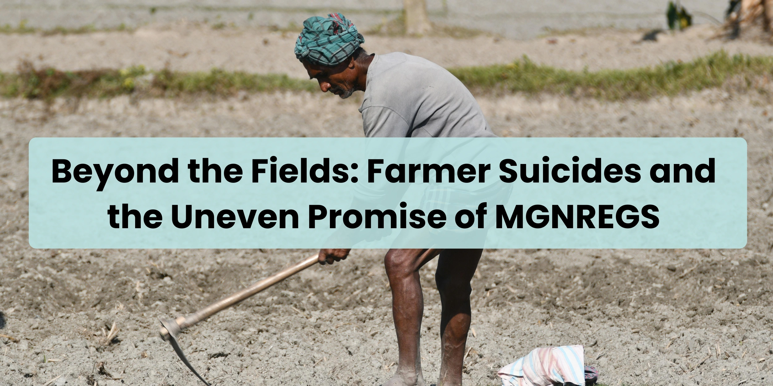 Farmer suicides in India