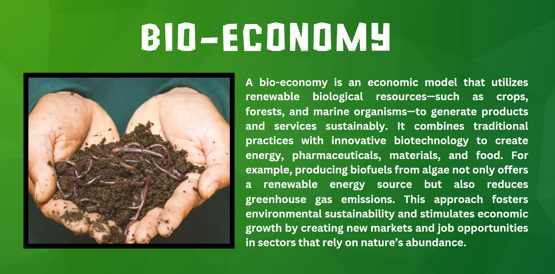 bio-economy
