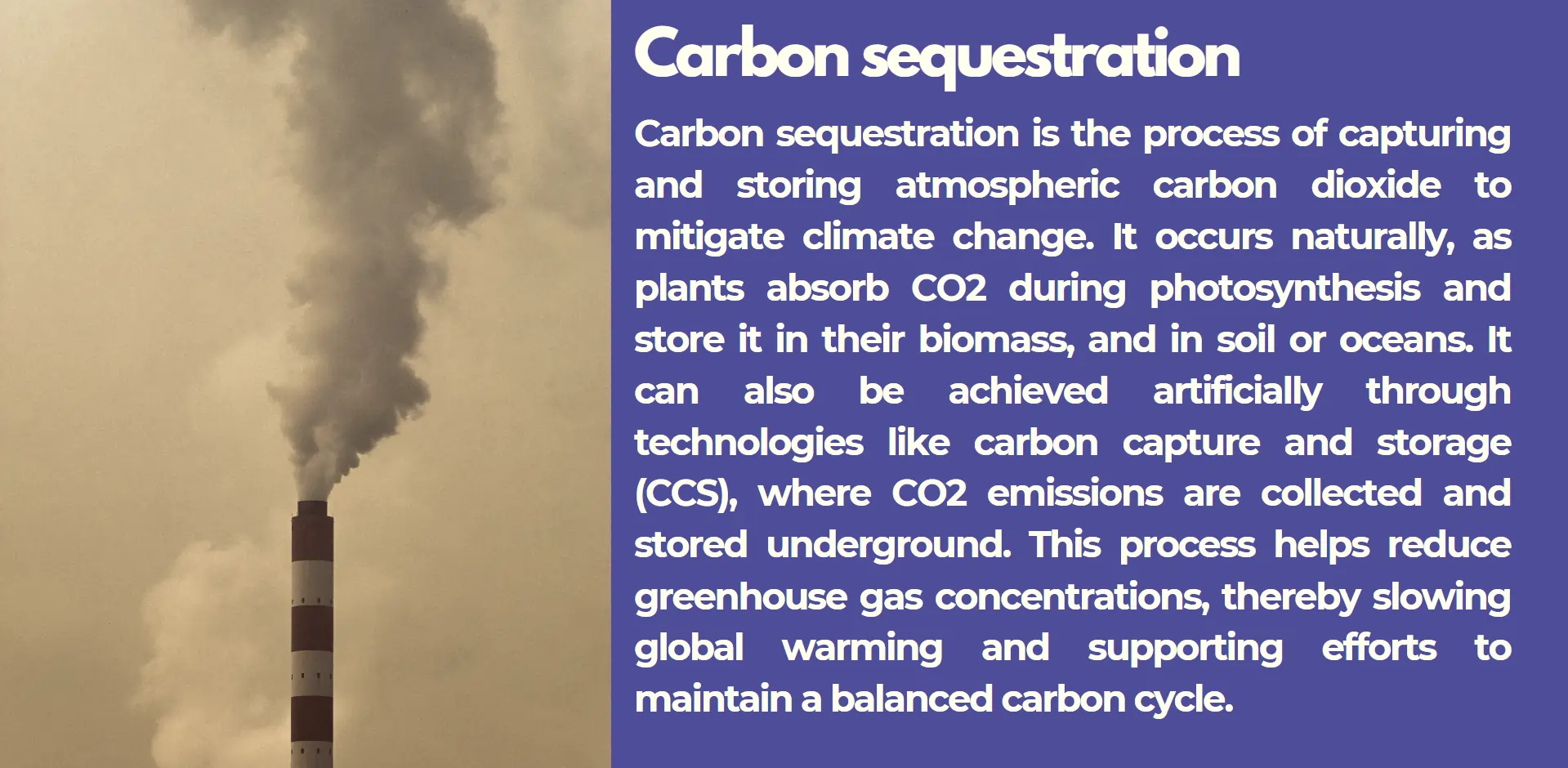 carbon-sequestration