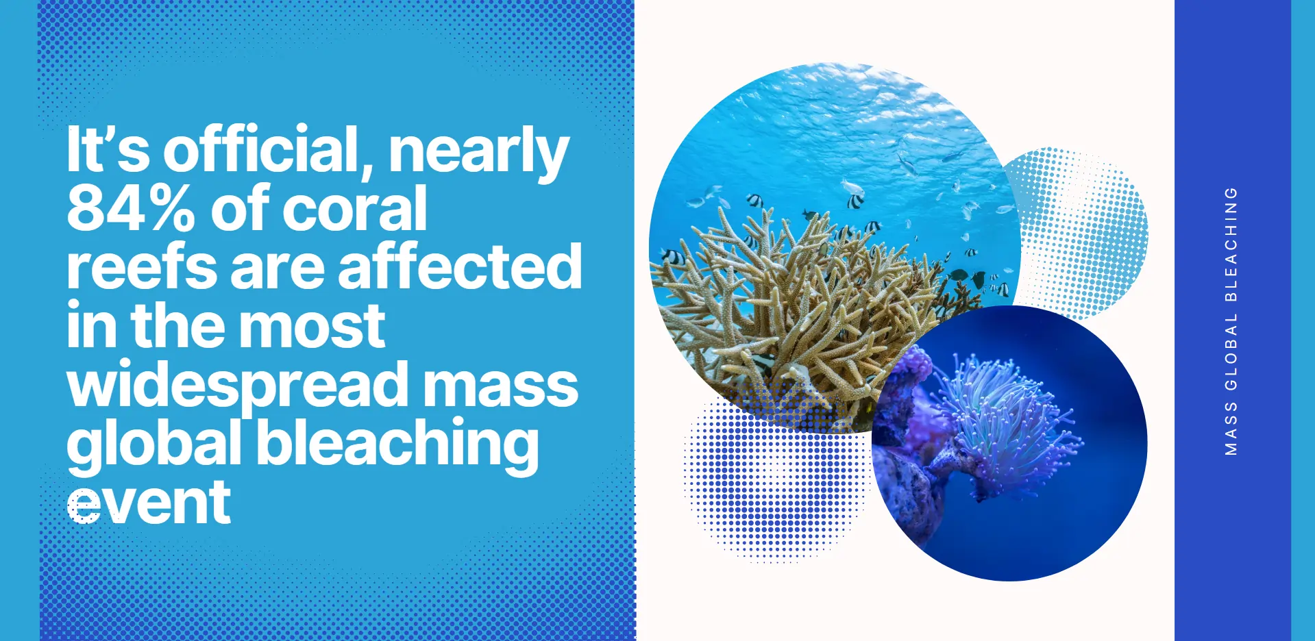 global-bleaching-event