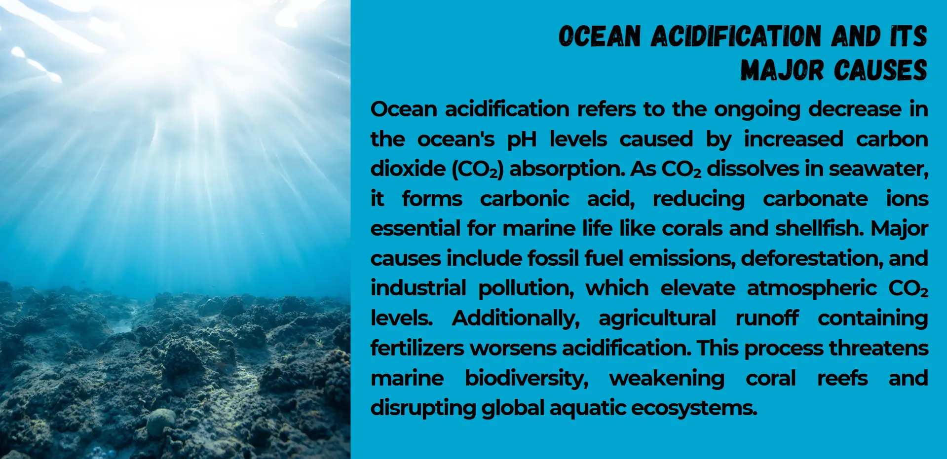ocean-acidification