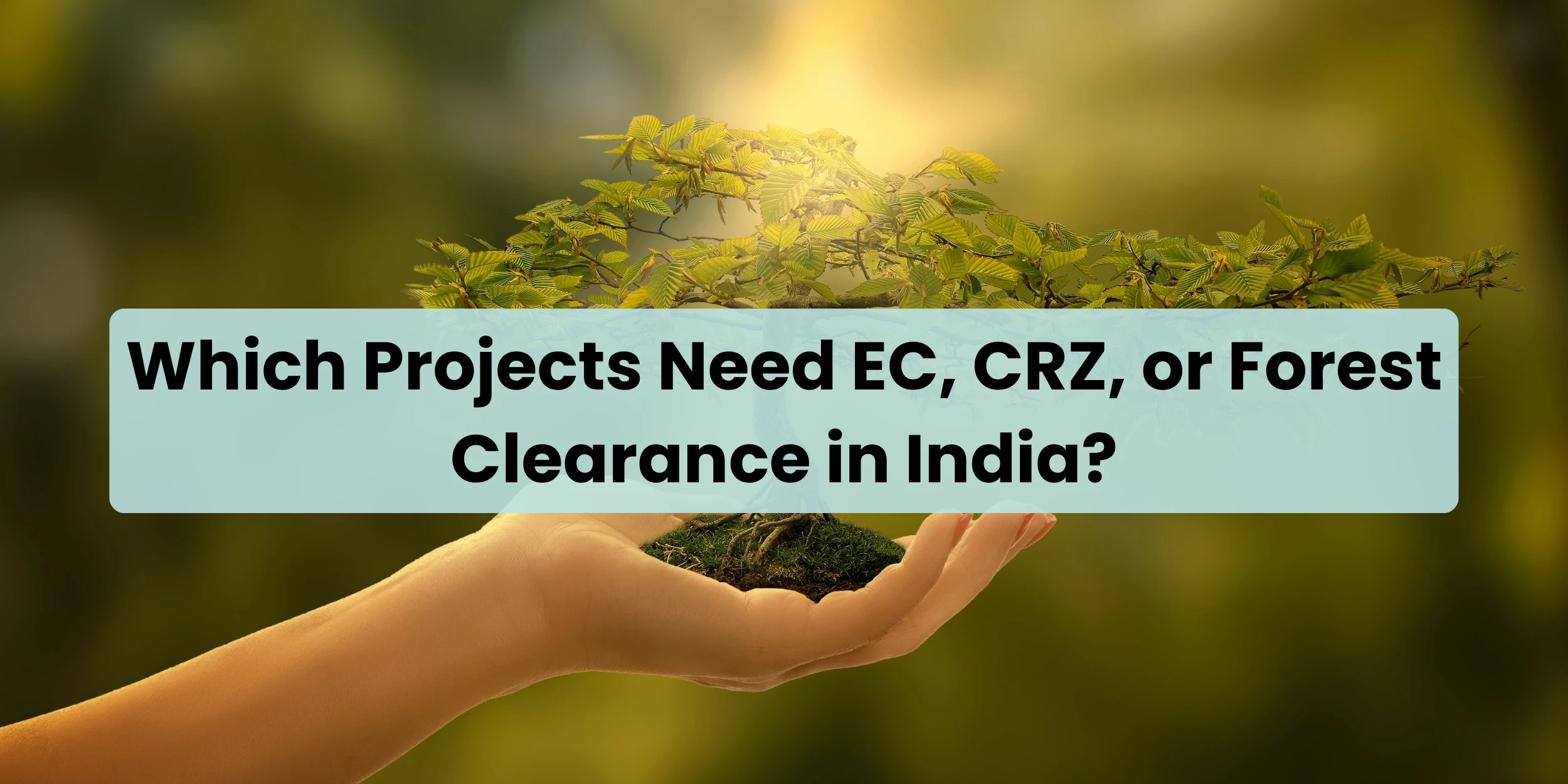 which-projects
