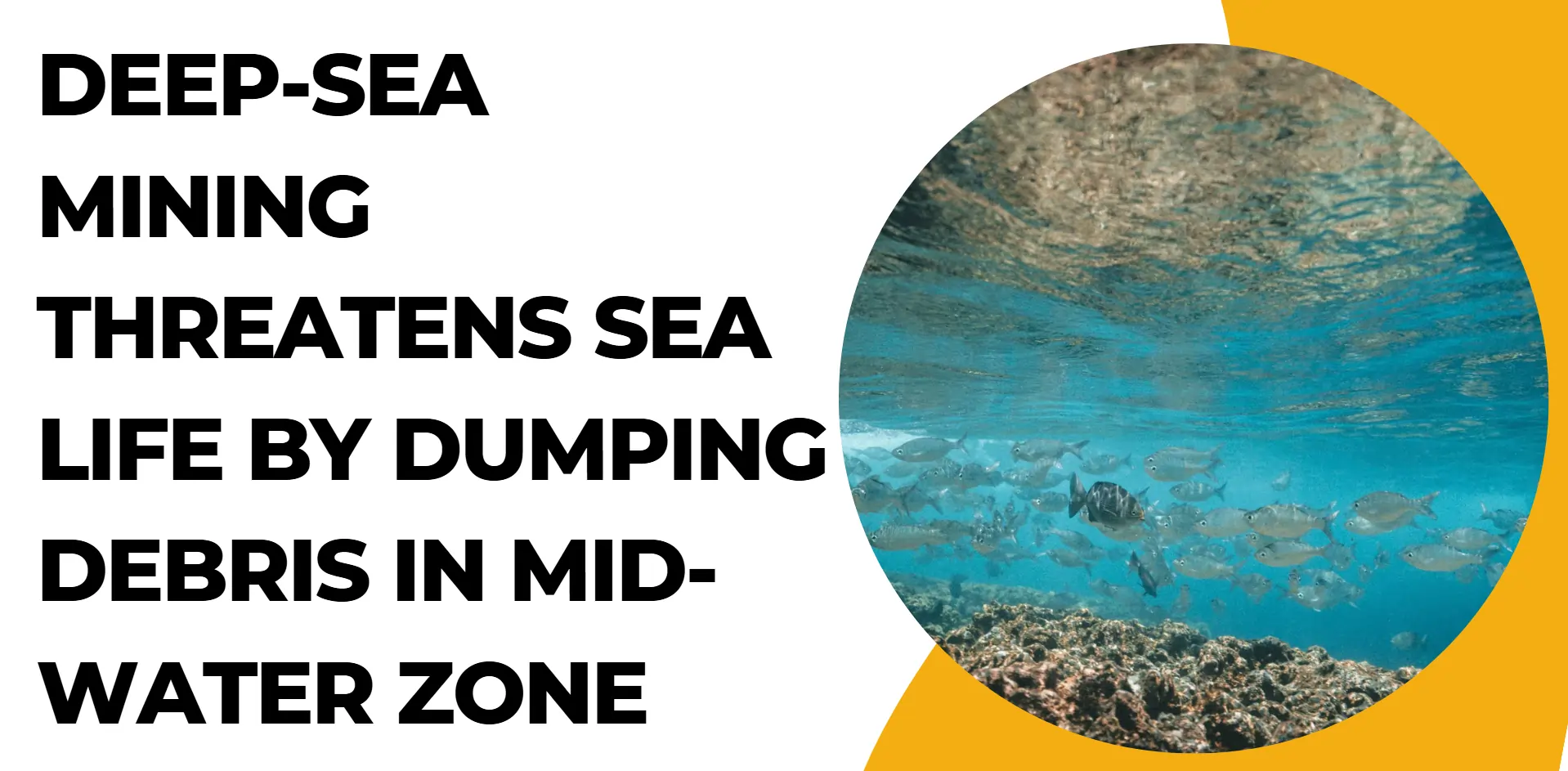 deep-sea-mining