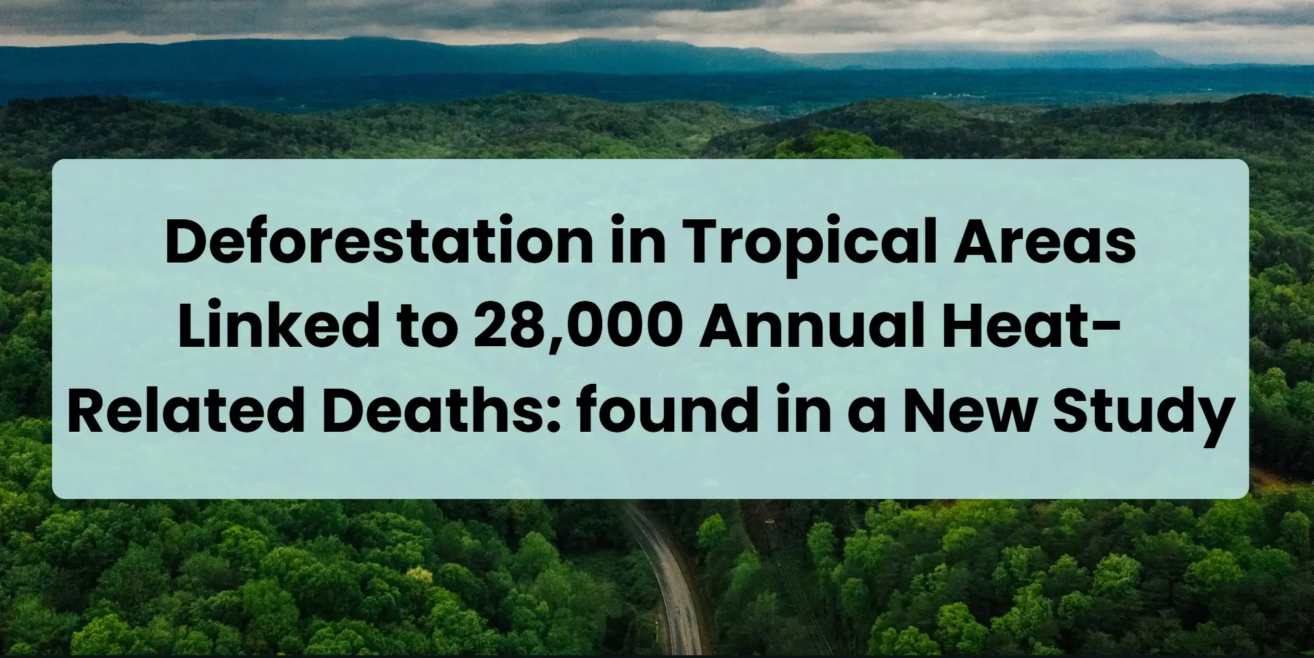 deforestation in tropical