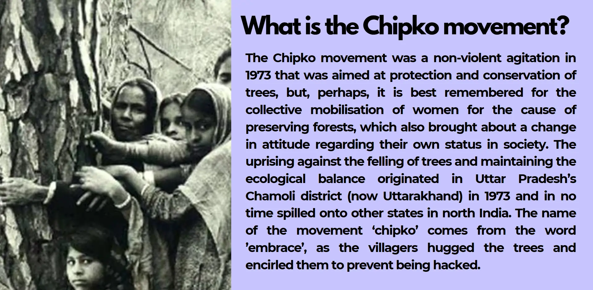 chipko-movement