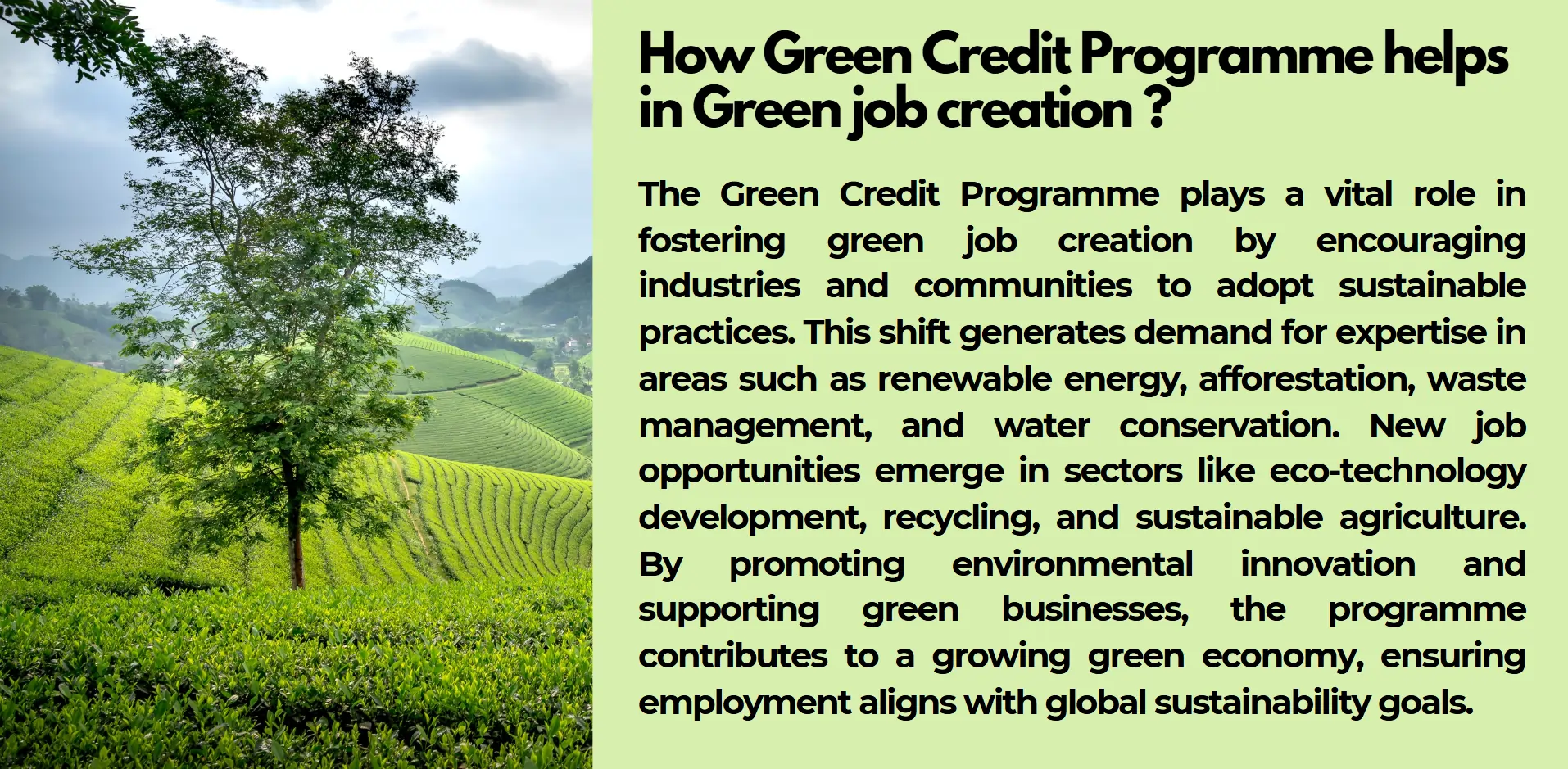 green-job-creation