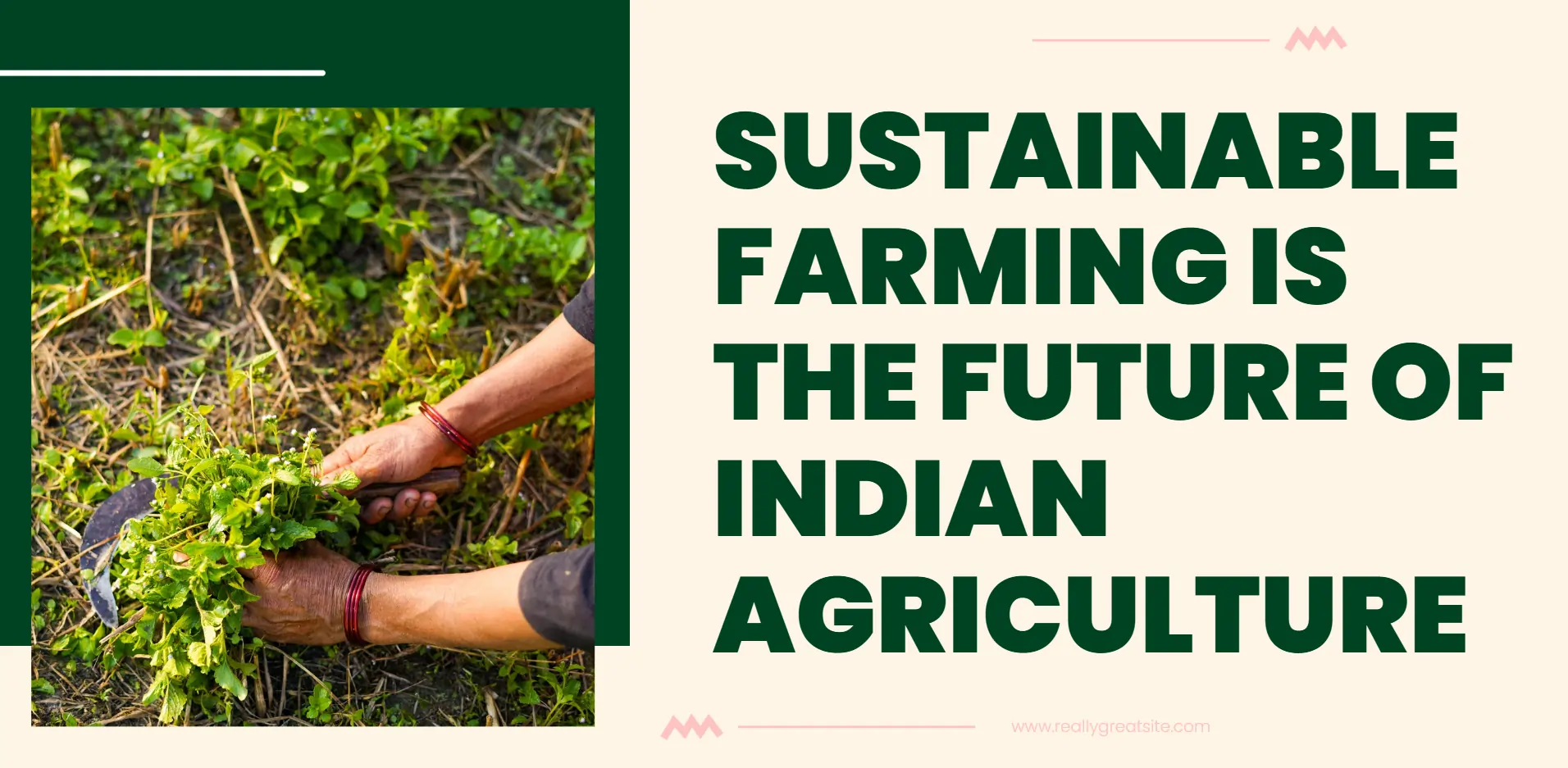 indian-agriculture