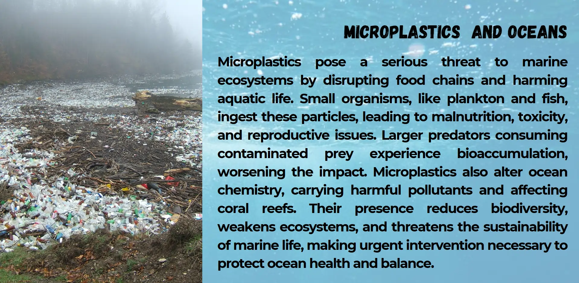 microplastic-and-ocean