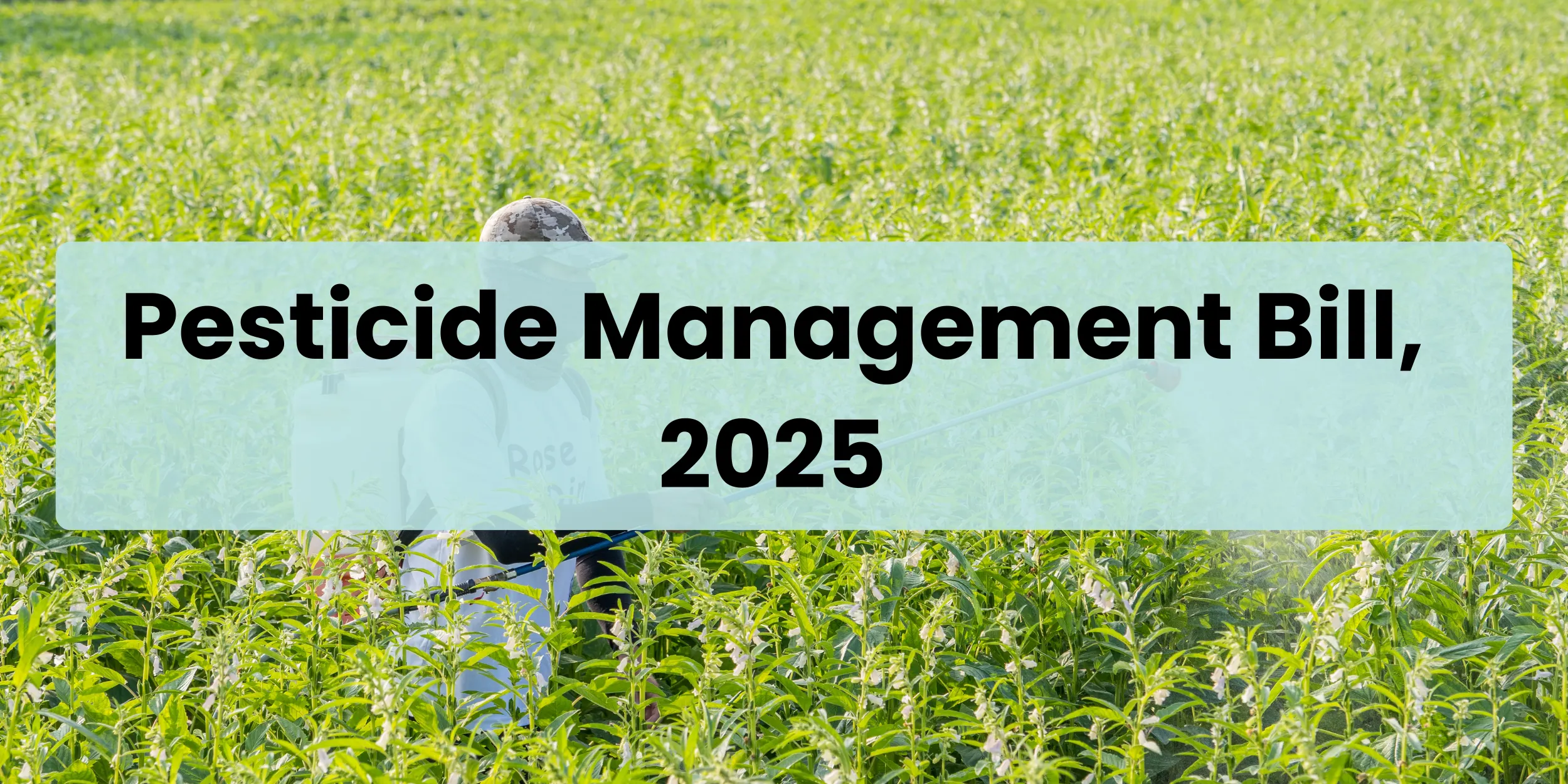 Draft Pesticides Management Bill 2025