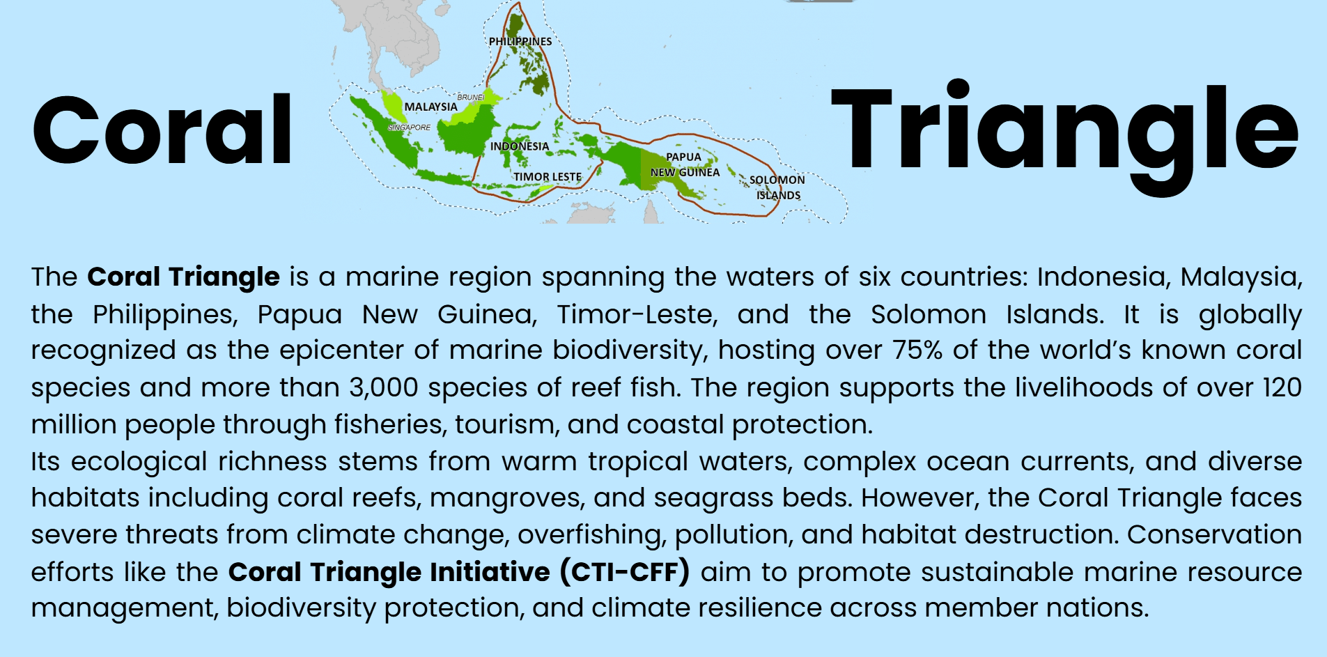 coral-triangle