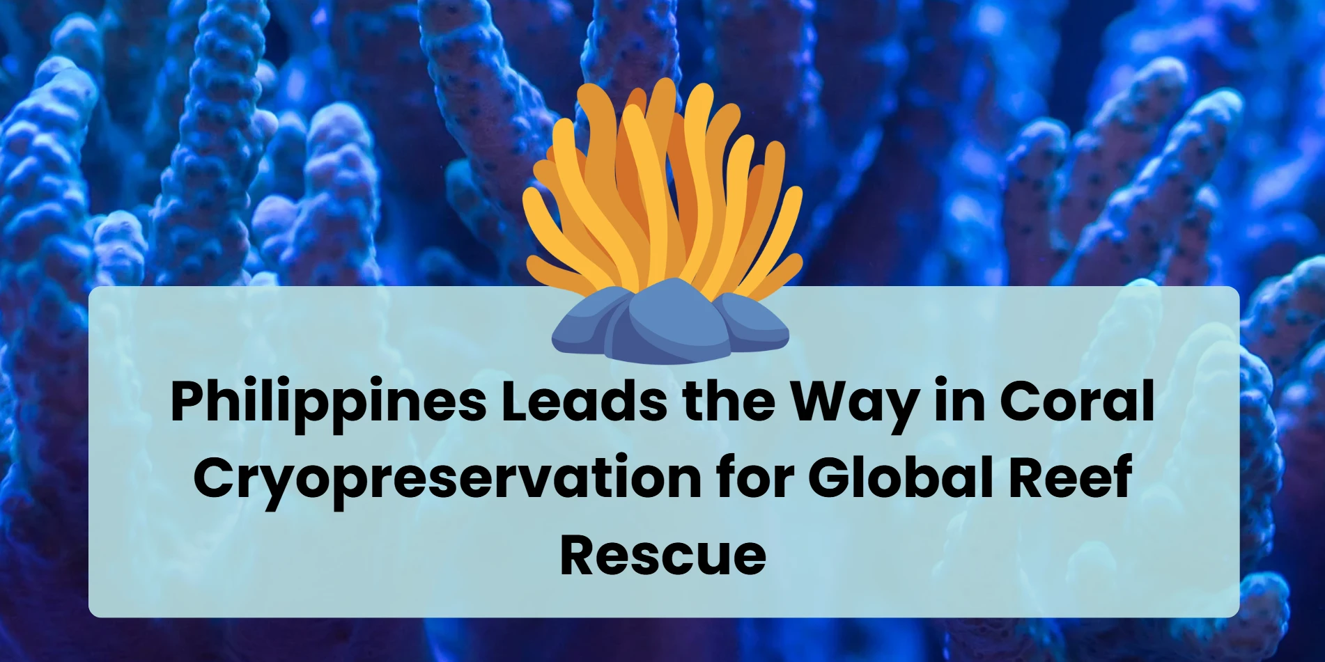 philippines-leads