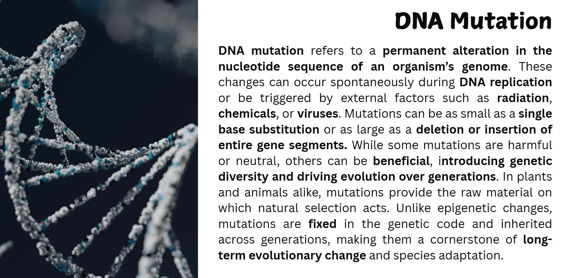dna-mutation