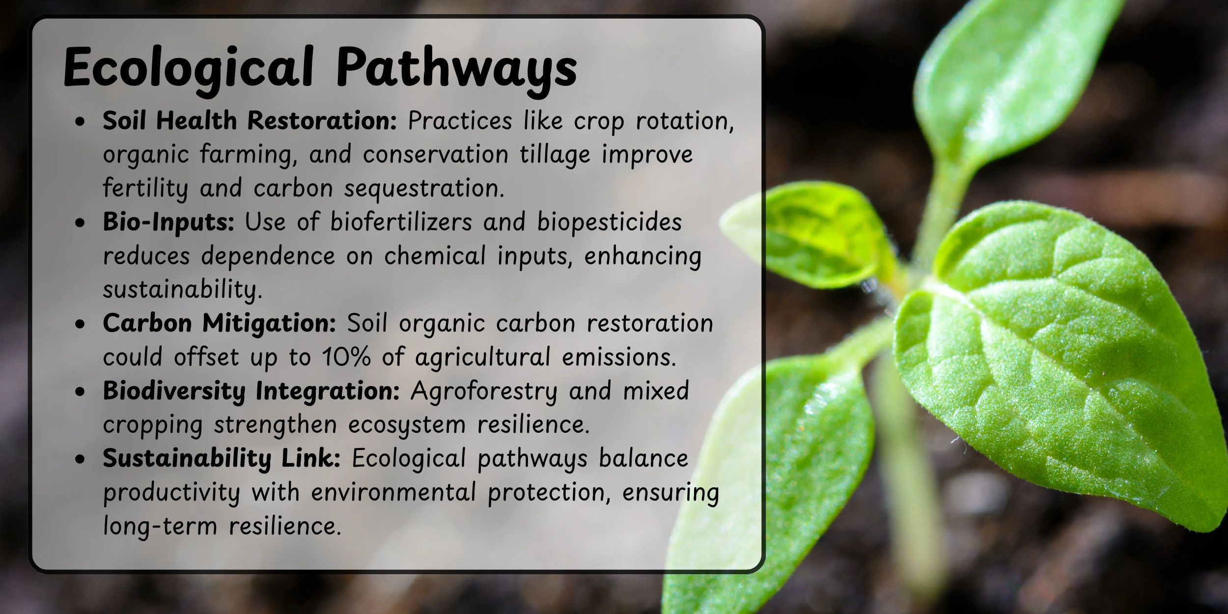 ecological-pathway