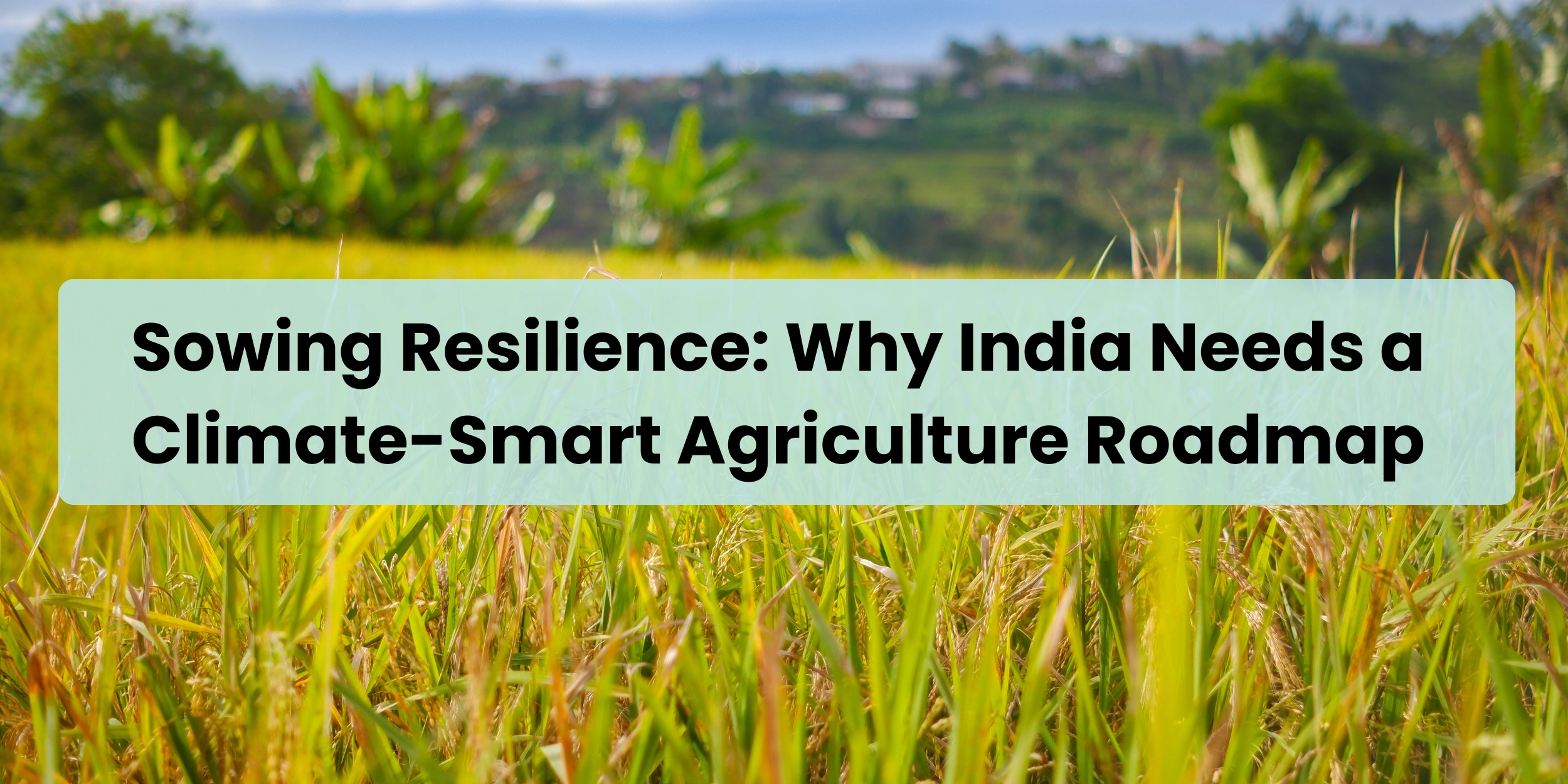 sowing-resilience