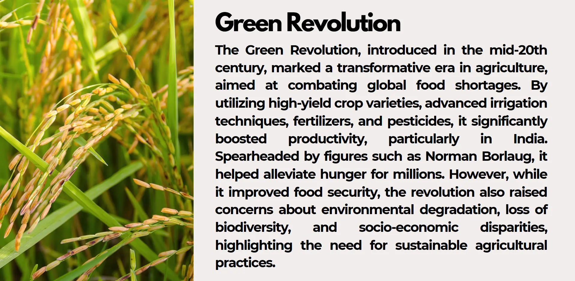 green-revolution