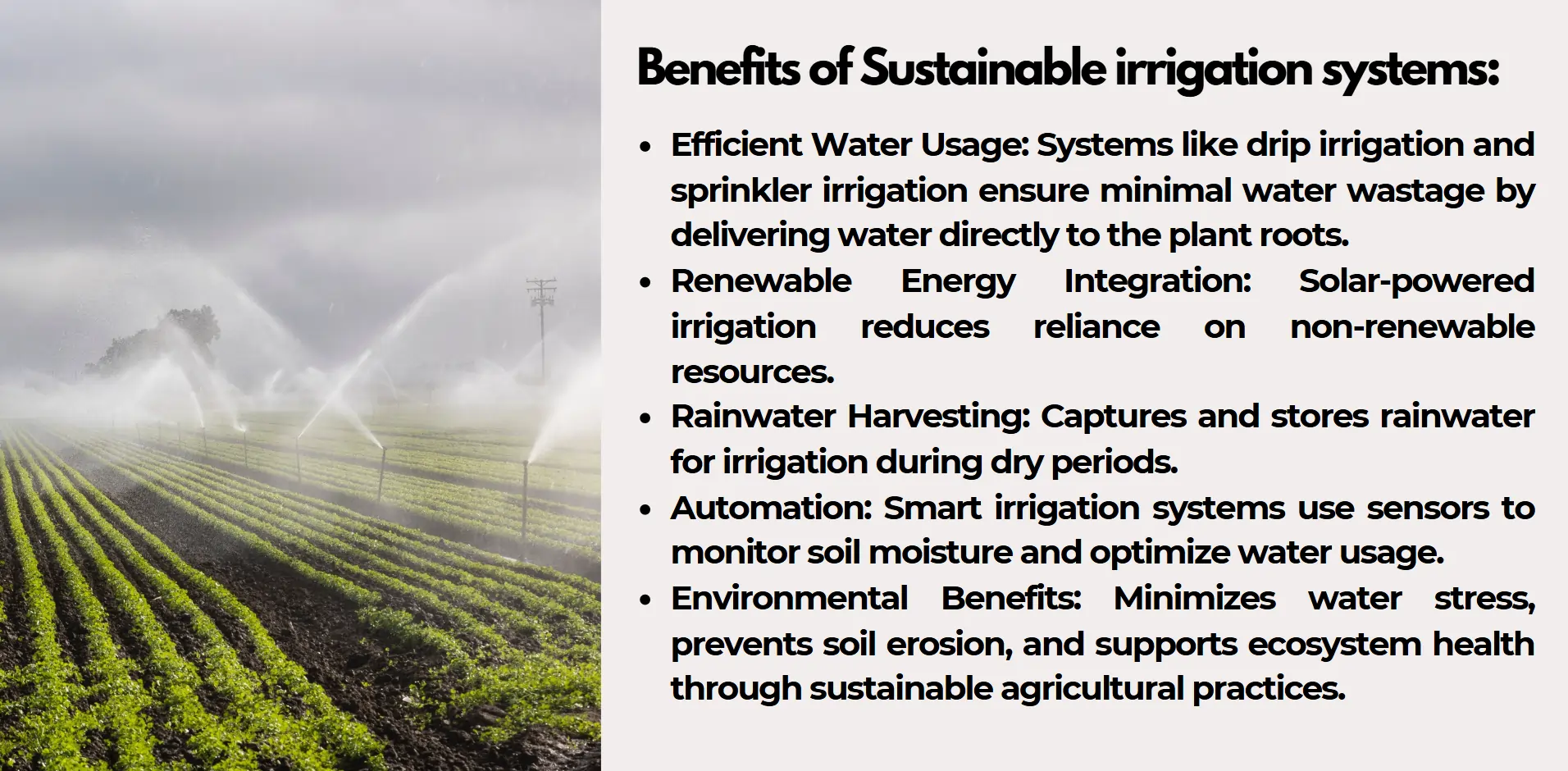 irrigation-system