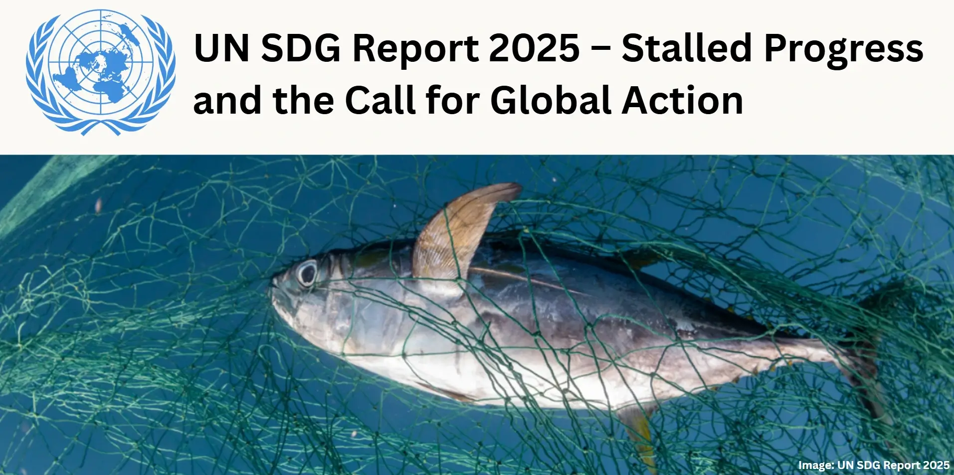 un-sdg report 2025