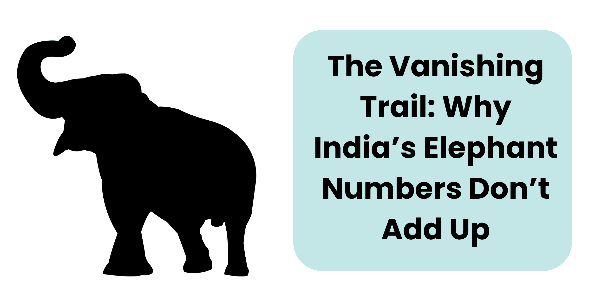 elephant-number